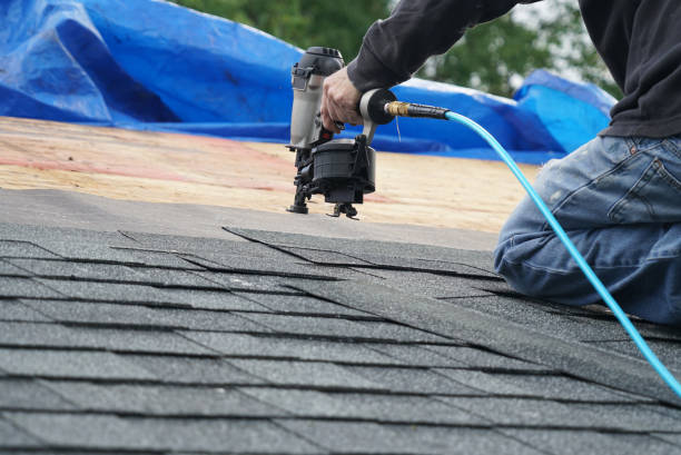Professional Roofing Contractor in Gibsonton, FL