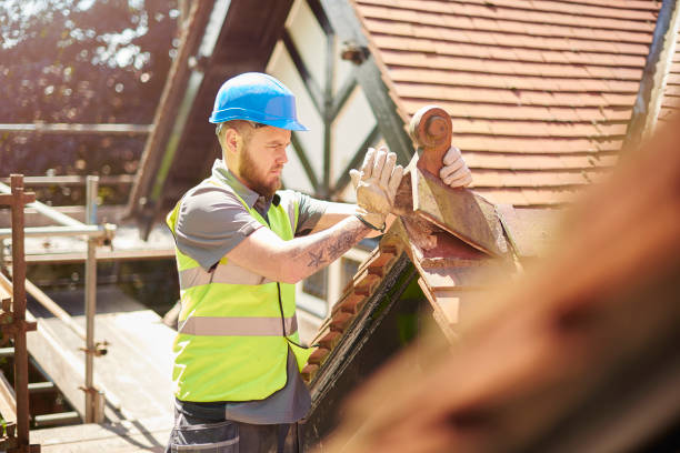 Best Roof Gutter Cleaning  in Gibsonton, FL
